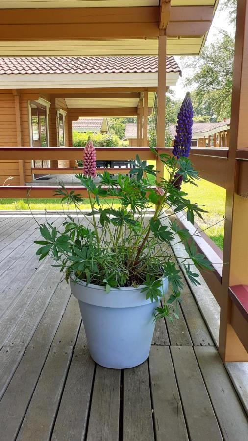 Lupine Lodge Gramsbergen 外观 照片